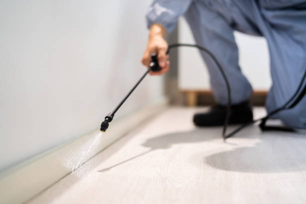 Licensed Mosquito Control service in Bismarck, MO - Show Me Pest Control