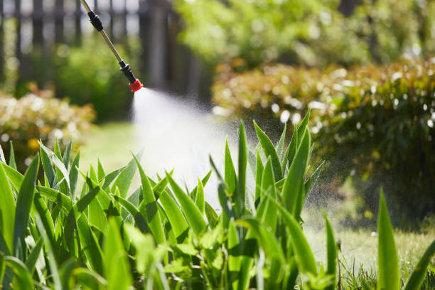 24/7 Emergency Mosquito Control experts in Bismarck, MO