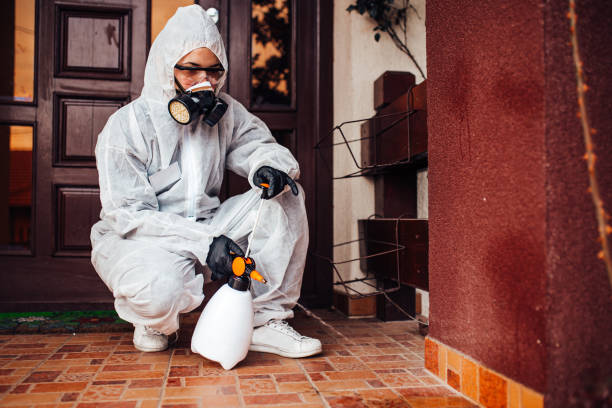 Reliable Mosquito Control contractor in Bismarck, MO by Show Me Pest Control